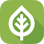 NZ Trees icon