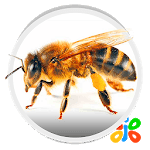 Bee for PC