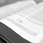 King James Bible Trivia icon