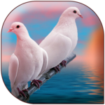 Heart Touching Stories for PC Heart Touching Stories for PC