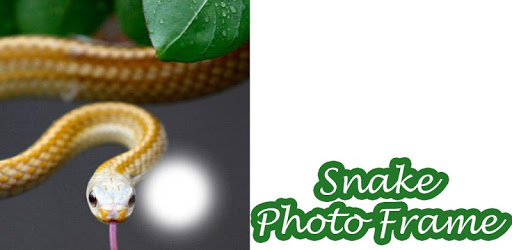Snake Photo Frame PC screenshot
