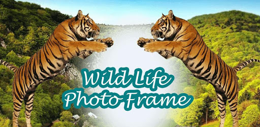 Amazing Wildlife Photo Frame PC screenshot Amazing Wildlife Photo Frame PC screenshot