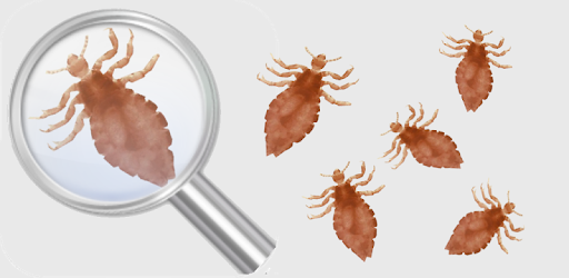 Lice Detector (prank) PC screenshot Lice Detector (prank) PC screenshot