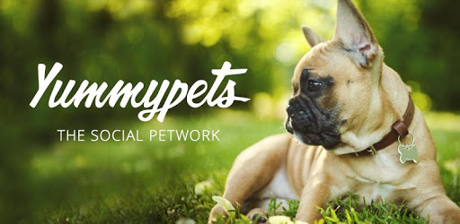 Yummypets - Dogs Cats Network PC screenshot