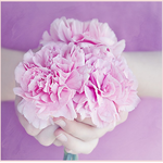 Flowers for you for PC Flowers for you for PC