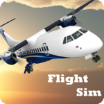 Flight Sim icon