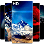 Best HD Wallpapers Backgrounds icon
