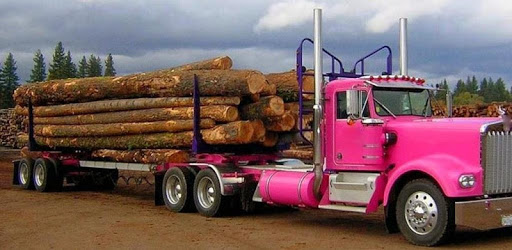 Jigsaw Puzzles Kenworth W900 PC screenshot