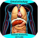 Human Anatomy - OFFLINE for PC