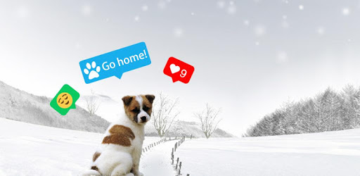 Intag - giddy photo editor PC screenshot