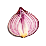 Onion Search Engine icon