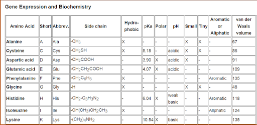 Basic Biochemistry PC screenshot