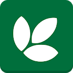MVCC Hawk Life icon
