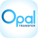 Money Transfer App icon