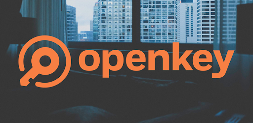 OpenKey PC screenshot