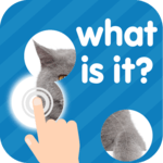 101 Pics: Photo Quiz icon