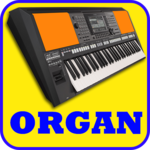 Electronic Organ icon