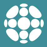 LifeProfile icon