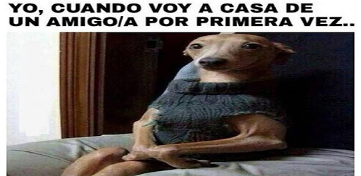 Imagenes Chistosas con Frases PC screenshot