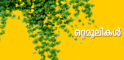 Ottamoolikal Malayalam PC screenshot Ottamoolikal Malayalam PC screenshot