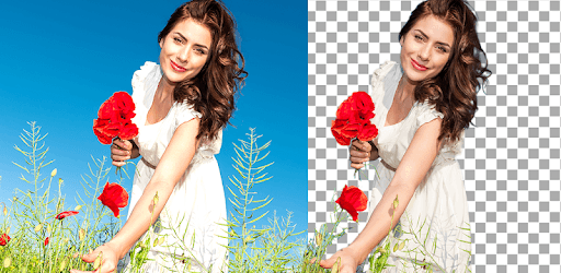 Background Remover PC screenshot