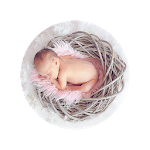 Ovulation cycle for PC Ovulation cycle for PC