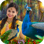 Peacock Photo Frame : Garnish your photos icon