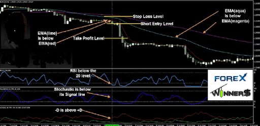 E-Book Profit Strategy PC screenshot E-Book Profit Strategy PC screenshot