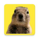 Photobomb maker editor for PC Photobomb maker editor for PC