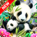 Panda Wallpaper for PC Panda Wallpaper for PC