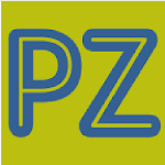 Park & Zoom icon