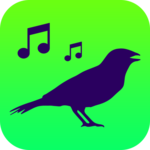 All Birds of North America - Birds Songs for PC
