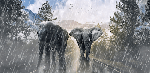 Rain Overlay: Frames for Pictures with Effects App PC screenshot