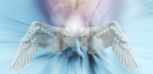 Wings for Photos: Angel Wings Photo Editor PC screenshot