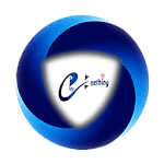 Pay Enething icon