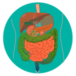 Nursing Anatomy & Physiology for PC