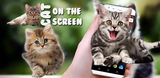 Funny Cat Walks On Screen - Cute Animation & Joke PC screenshot