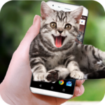 Funny Cat Walks On Screen - Cute Animation & Joke for PC