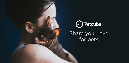 Petcube PC screenshot
