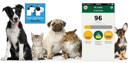 Pets And Pets PC screenshot Pets And Pets PC screenshot