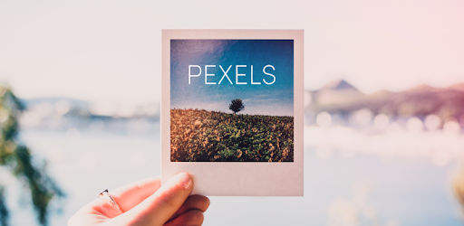Pexels PC screenshot
