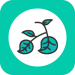 VeoRide icon