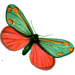 Pharmafly for PC Pharmafly for PC