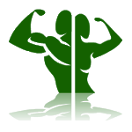 Order Simulation icon
