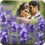 Flower Cover Photo Frames for PC Flower Cover Photo Frames for PC