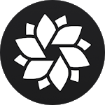 IMG.LY Photo Editor & Camera for PC IMG.LY Photo Editor & Camera for PC