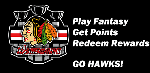 Winterhawks PC screenshot