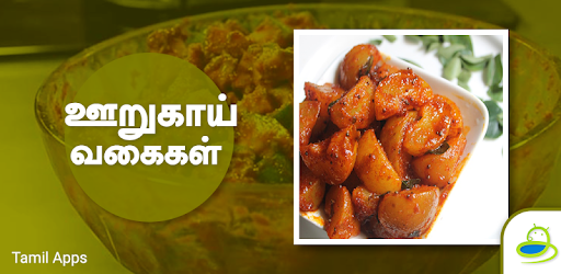 Pickles Recipes Oorugai Tamil PC screenshot Pickles Recipes Oorugai Tamil PC screenshot