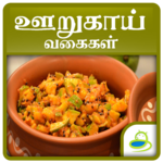 Pickles Recipes Oorugai Tamil for PC Pickles Recipes Oorugai Tamil for PC