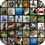 Animal Wallpapers HD icon